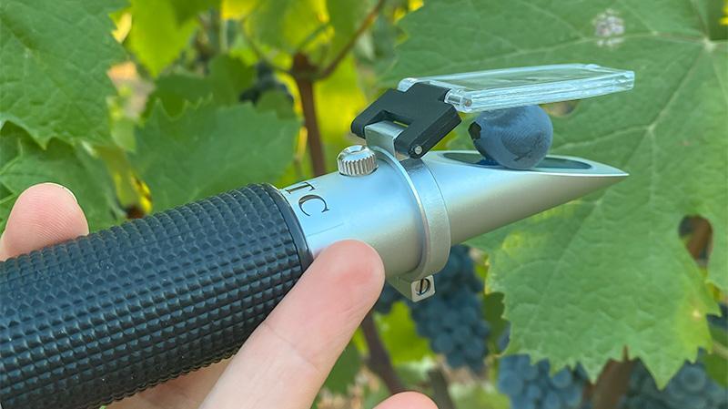 Uno strumento per l'analisi degli acini d'uva