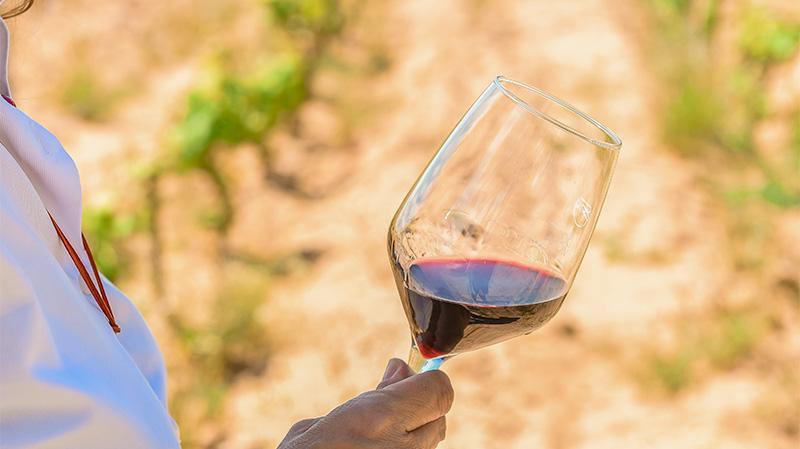 La degustazione di vino Mandrolisai durante l'esperienza