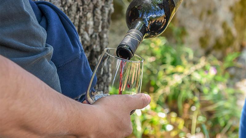 La dégustation du vin du Mandrolisai