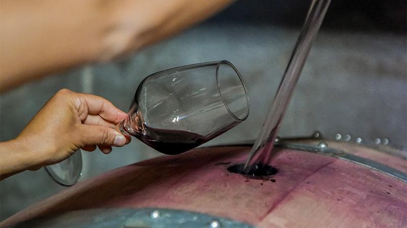 A glass of Mandrolisai wine